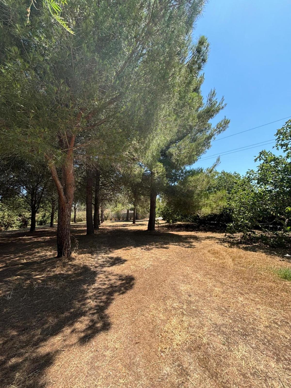 Tenuta Pizzi San Pietro Vernotico Buitenkant foto